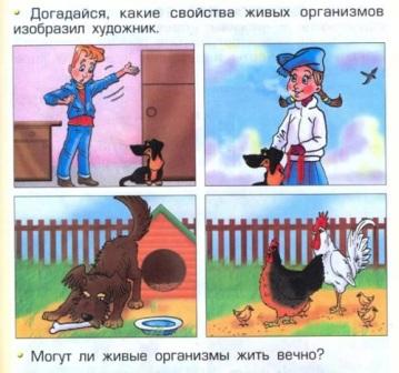 Диверсия в области образования приобретает угрожающий размах